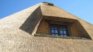 Житель Паланки наладил производство экологически безопасных крыш из камыша