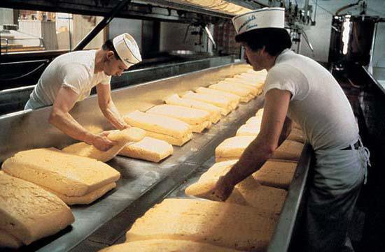 производство твердого сыра как бизнес мини цех