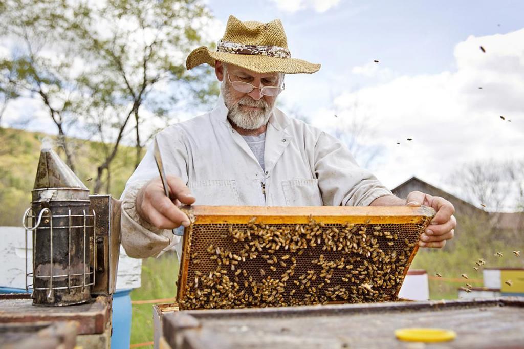 пчеловодство, бизнес-план