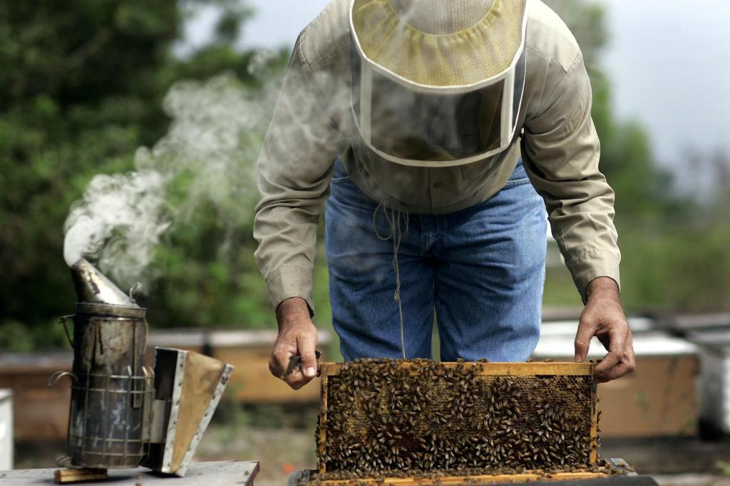 пчеловодство выгодный бизнес