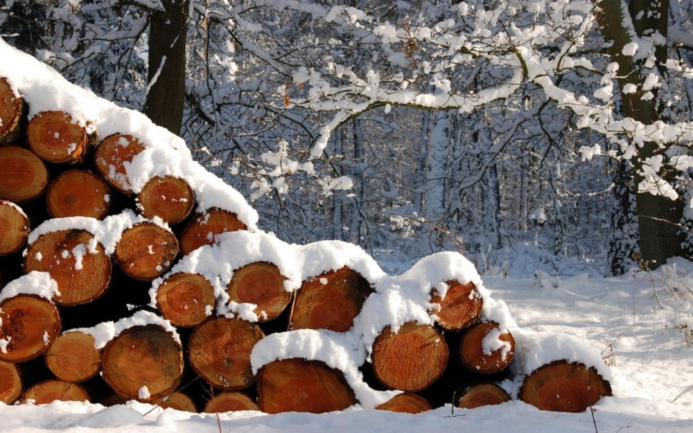 лес, снег, дрова