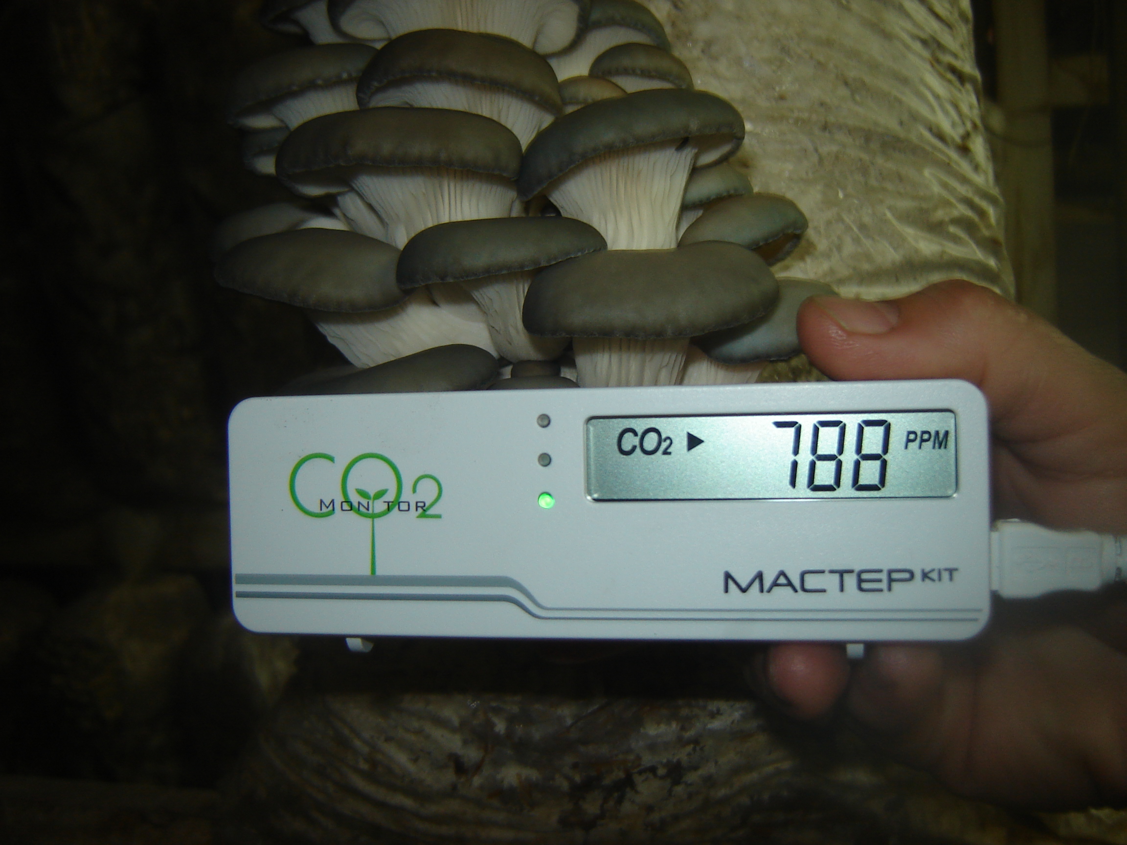 Высокая влажность воздуха и углекислого газа для выращивания грибов