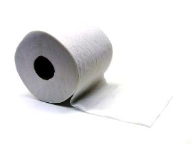 Рулон белой туалетной бумаги позволяет заработать миллионы.