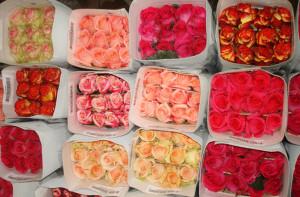 Поставка цветов для цветочного бизнеса