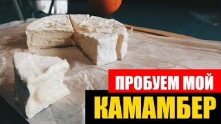 Домашний сыр из молока. Камамбер
