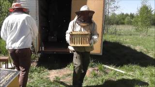 пчеловодство как бизнес. даешь девяточку