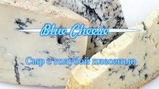 Мастер-класс: Домашний сыр с голубой плесенью
